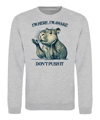 I’m Here I’m Awake - I’m here, I’m awake, don’t push it, capybara, lazy humor, introvert, sarcastic quote, chill vibes, morning mood, sleepy animal - Sweatshirt
