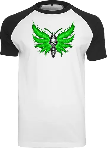 curse moth 