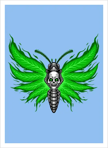 curse moth 