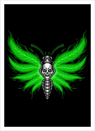 curse moth 