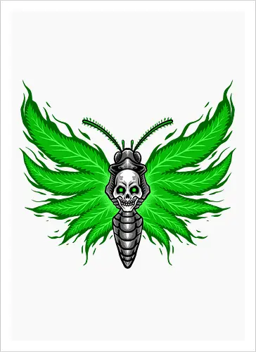 curse moth 