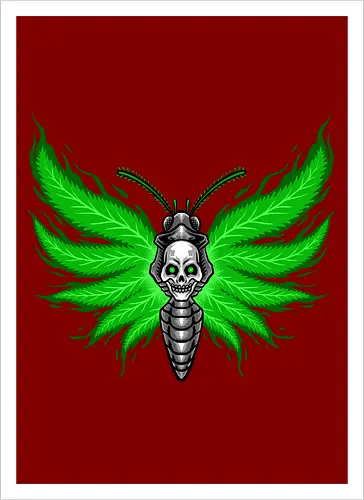 curse moth 