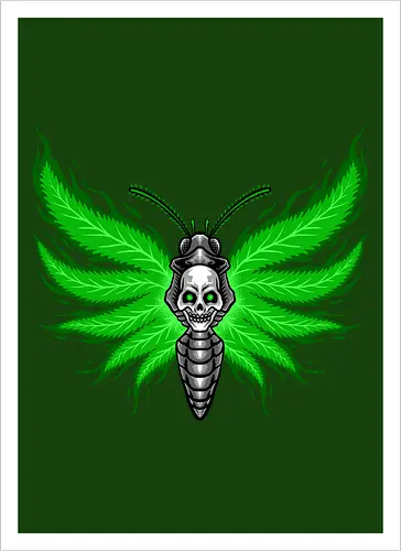 curse moth 