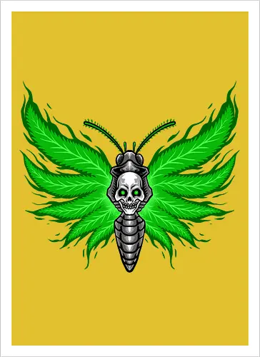 curse moth 