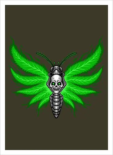 curse moth 