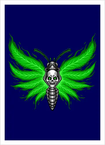 curse moth 