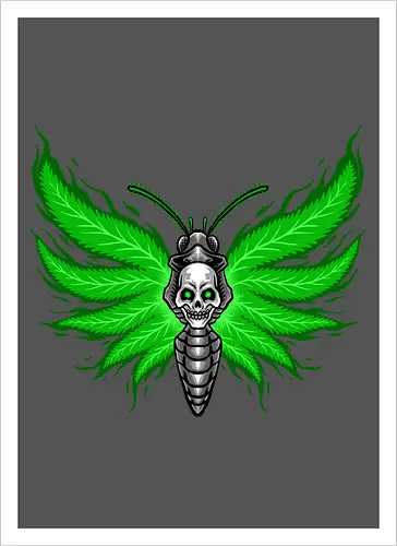 curse moth 