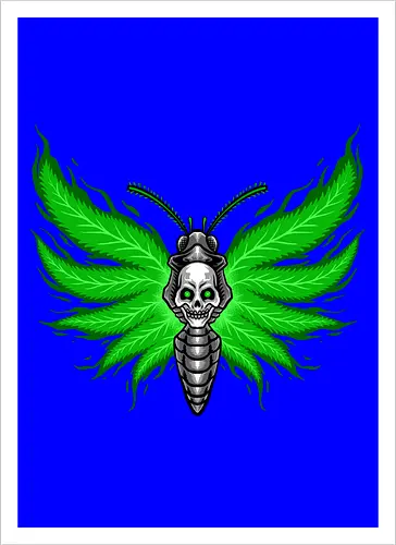 curse moth 