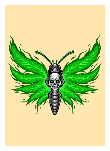 curse moth 