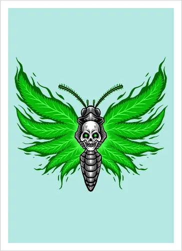 curse moth 