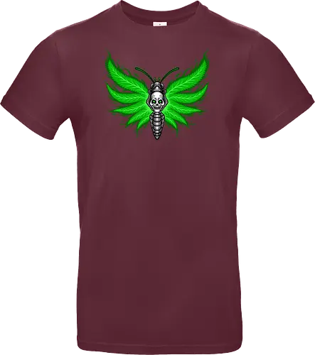 curse moth 