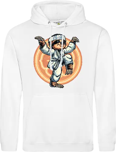 The Legend of Karate Sloth