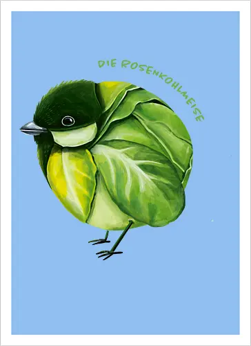 Rosenkohlmeise