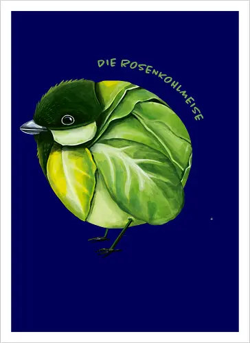 Rosenkohlmeise