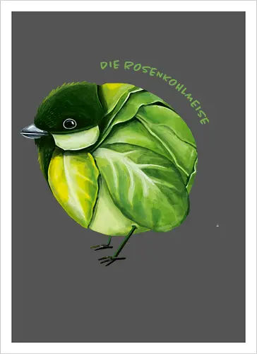 Rosenkohlmeise