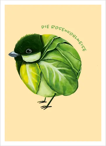 Rosenkohlmeise