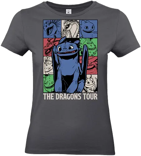 Dragons Tour Movie - Dragon, Viking, Vikings, Adventure, Fantasy, Mythical, Mythology, Mythological Creatures, Cute, Fun, Funny, Poster, Movie, Animation, Musical, Music, Music Tour, Show, Tour, World Tour - Standard T-Shirt (Women)