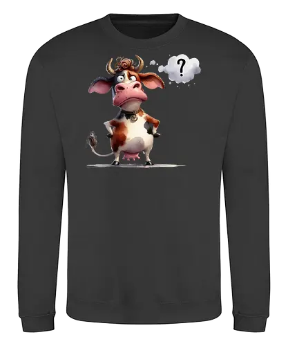 HÄÄÄÄÄÄÄ ? - Sweatshirt
