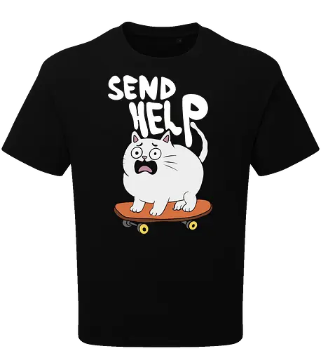 Skateboard Cat Needs Help