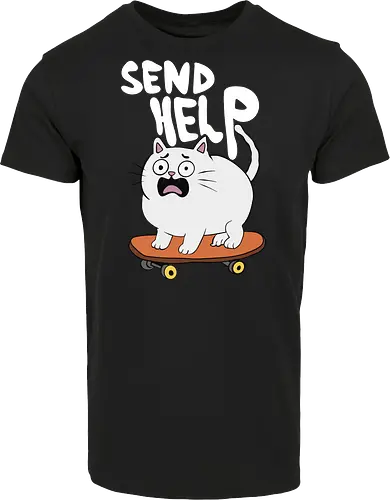 Skateboard Cat Needs Help
