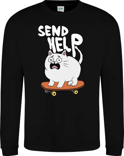 Skateboard Cat Needs Help
