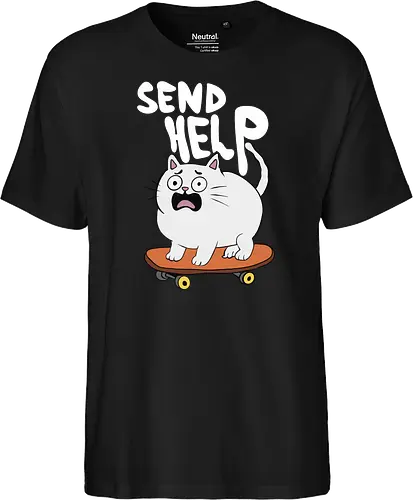 Skateboard Cat Needs Help