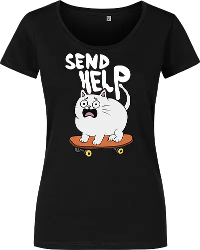 Skateboard Cat Needs Help