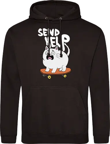 Skateboard Cat Needs Help