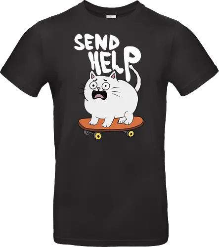 Skateboard Cat Needs Help