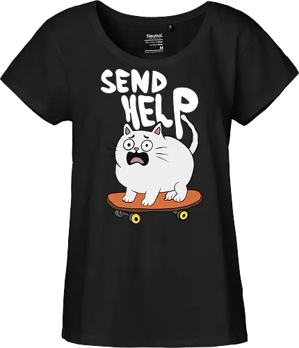 Skateboard Cat Needs Help