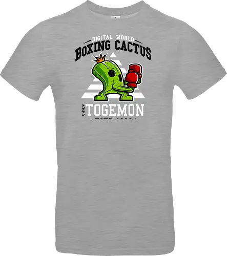Boxing Digital Cactus