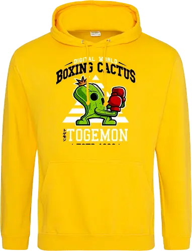 Boxing Digital Cactus