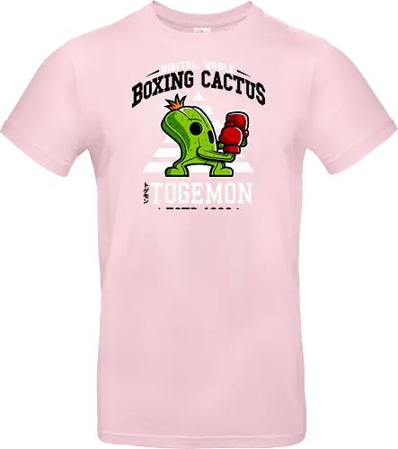 Boxing Digital Cactus