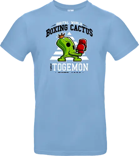 Boxing Digital Cactus