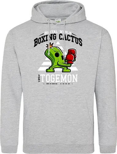 Boxing Digital Cactus