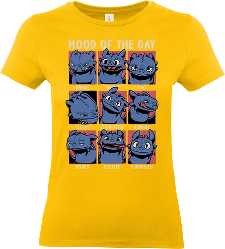 Viking Dragon Mood - Mood, Fun, Funny, Cute, Cool, Dragon, Animation, Mythical, Mythology, Mythological Creatures, Creature, Tv Show, Movie, Vikings, Viking, Sad, Happy, Angry, Sleepy, Confused, Hungry, Bored, Surprise - Standard T-Shirt (Women)