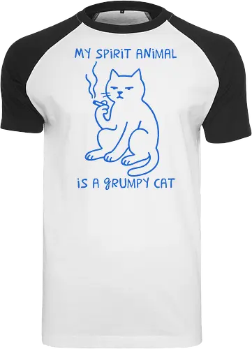 My Spirit Animal is a Grumpy Cat