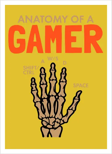 Anatomy of a Gamer