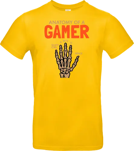 Anatomy of a Gamer