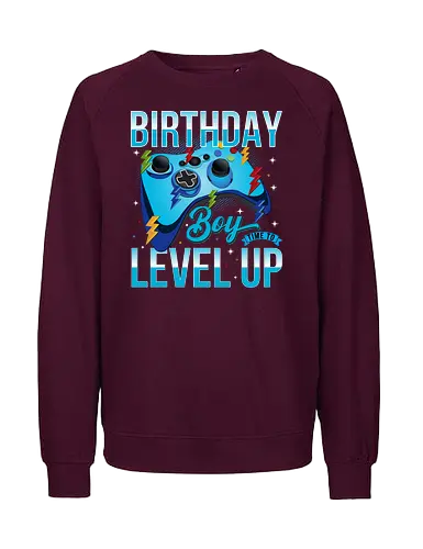 Birthday Boy, Time to Level Up - birthday, gaming, controller, celebration, level up, boy, lightning, colorful, playful - Fairtrade Sweatshirt