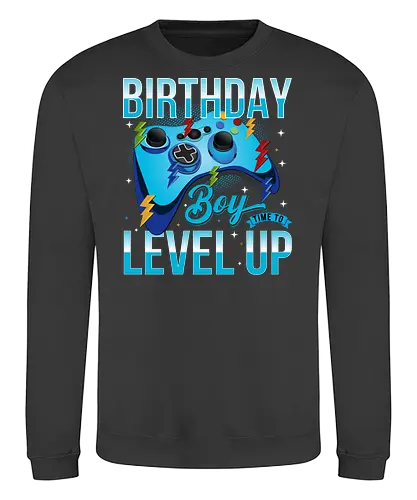Birthday Boy, Time to Level Up - birthday, gaming, controller, celebration, level up, boy, lightning, colorful, playful - Sweatshirt