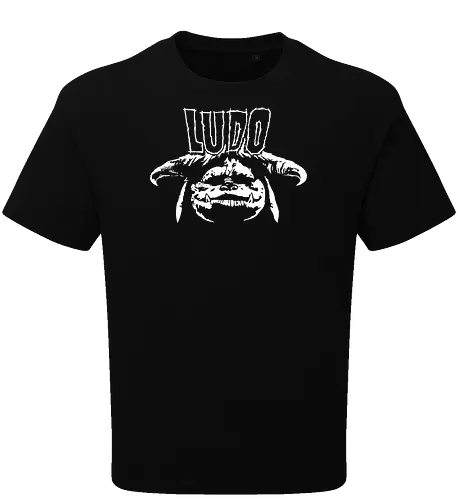 Ludo