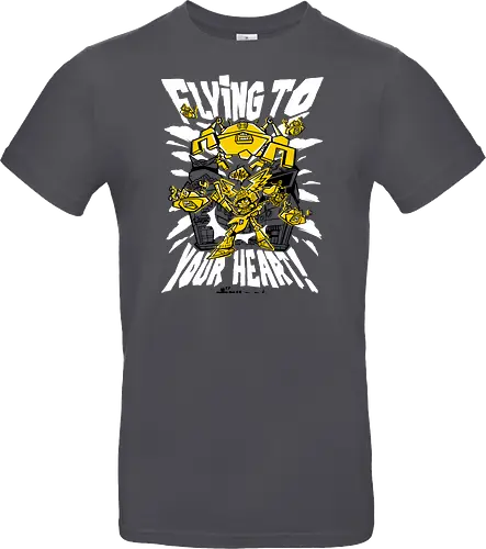 Flying to your heart