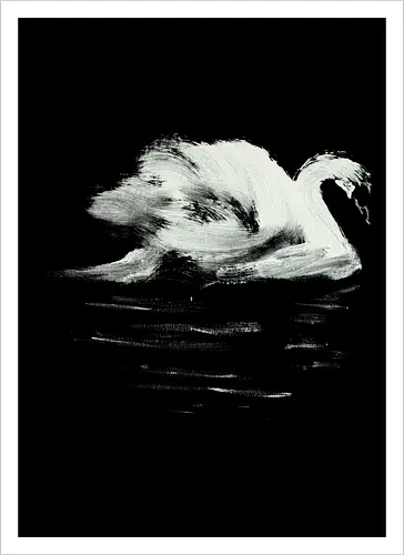 swan