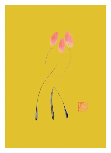 tulip