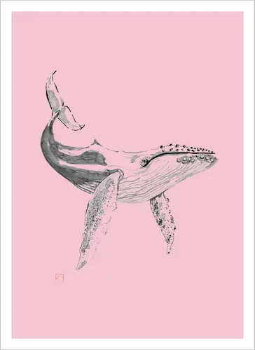 whale