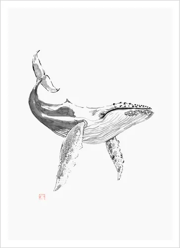 whale