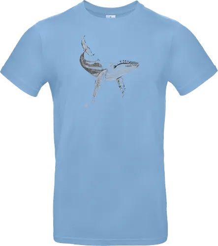 whale