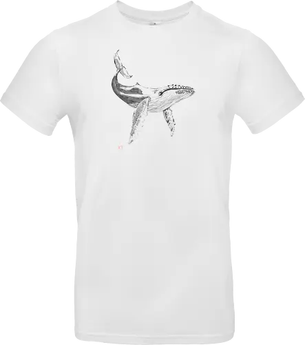 whale