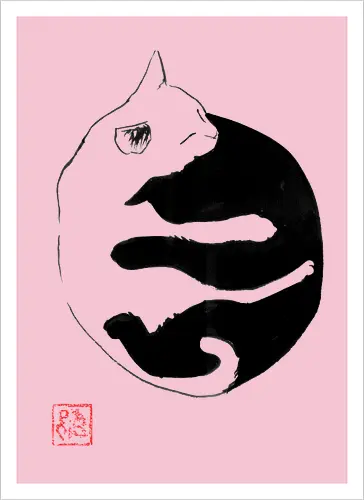 ying yang cat
